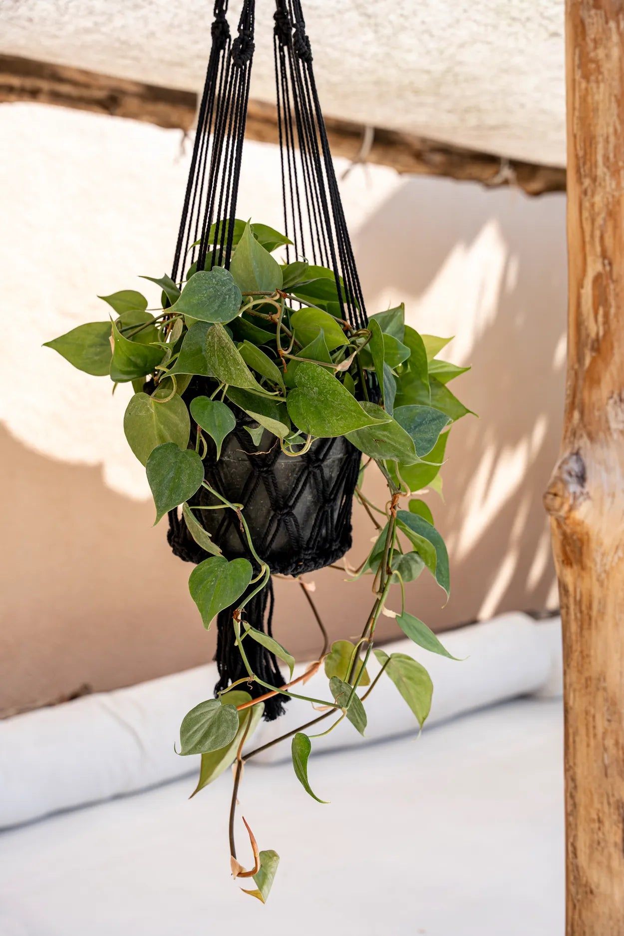 Plant basket "Macrame" Black L