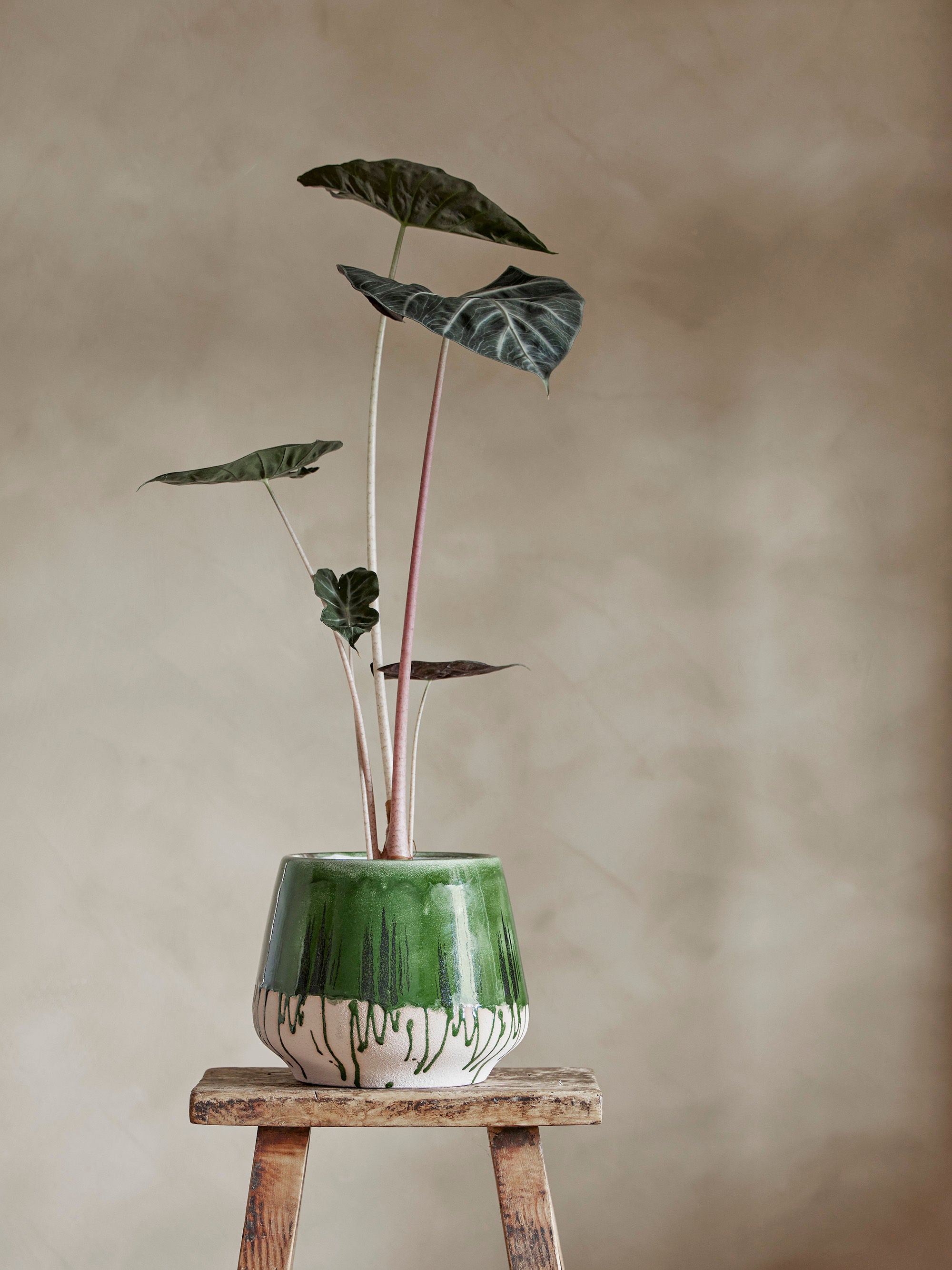 Flowerpot "Moez" Green Stoneware